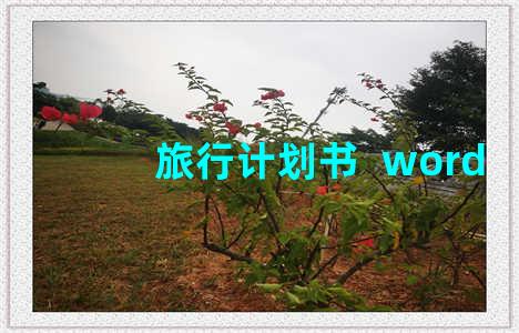 旅行计划书  word